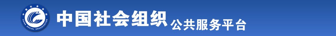 浓密屃视频全国社会组织信息查询